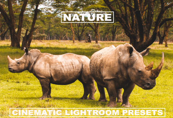 Download Cinematic Lightroom Presets Nature Tone - Cinematic lightroom presets Collection